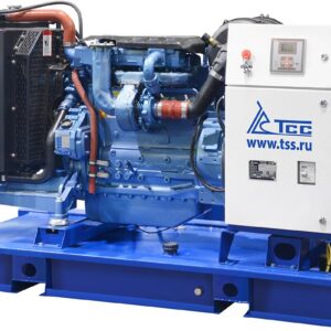 Дизельный генератор ТСС АД-60С-Т400-2РМ9 c АВР