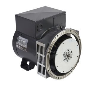 Mecc Alte ECP28-1VS/4 (6,2 кВт)