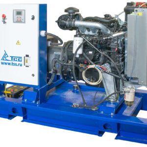 Дизельный генератор ТСС АД-24С-Т400-1РМ20 (80313AM1P, Mecc Alte)