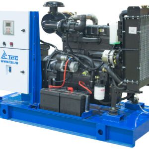 Дизельный генератор ТСС АД-12С-230-2РМ5 с АВР